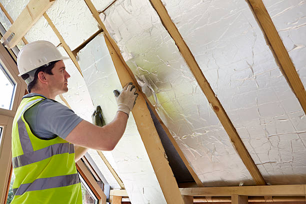 Best Eco-Friendly Insulation Solutions  in Siler City, NC